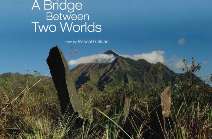 A Bridge Between Two Worlds